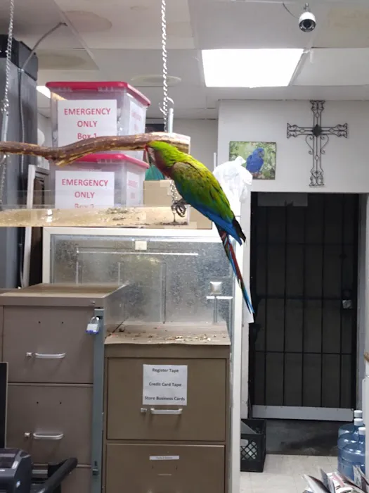 Arizona Bird Store Picture 6