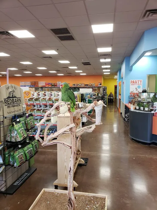 Pratt’s Pets - Mesa Picture 7