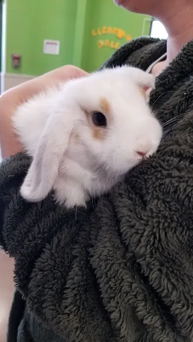 Pratt’s Pets - Mesa Picture 1