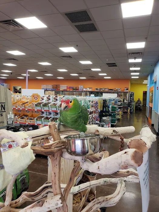 Pratt’s Pets - Mesa Picture 6
