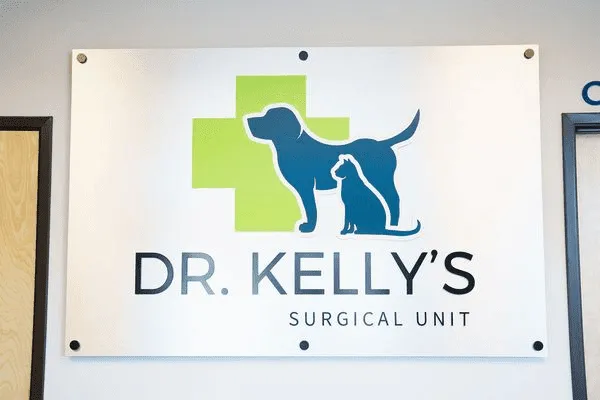 Dr. Kelly's Surgical Unit - West Mesa Picture 4