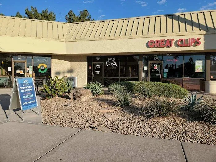 Dermatology for Animals - Scottsdale Picture 8
