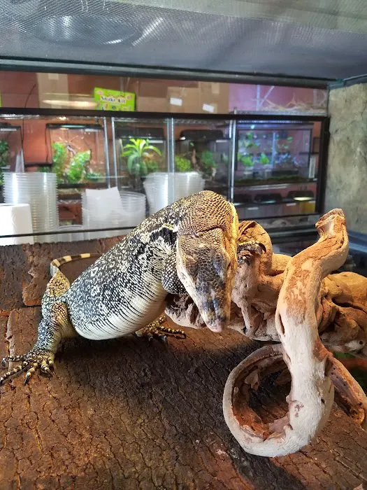 Predators Reptile Center Picture 1