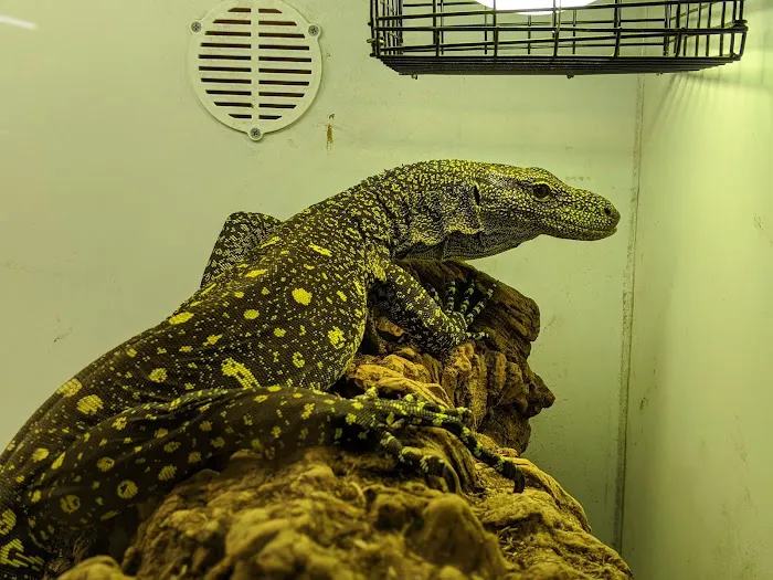 Predators Reptile Center Picture 5