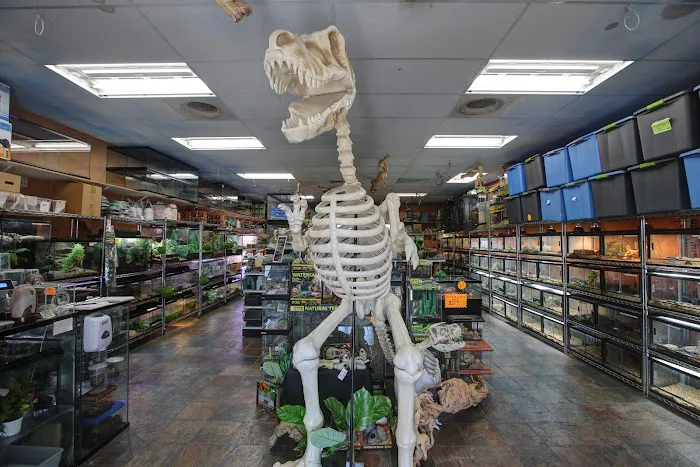 Predators Reptile Center Picture 9
