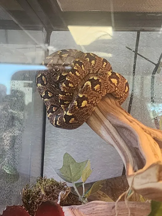 Predators Reptile Center Picture 3