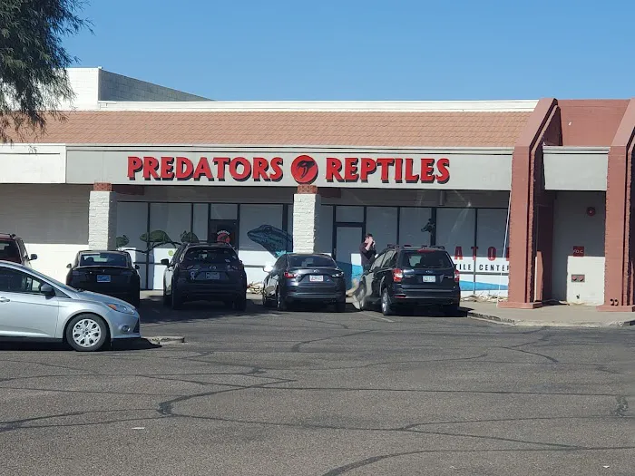 Predators Reptile Center Picture 8