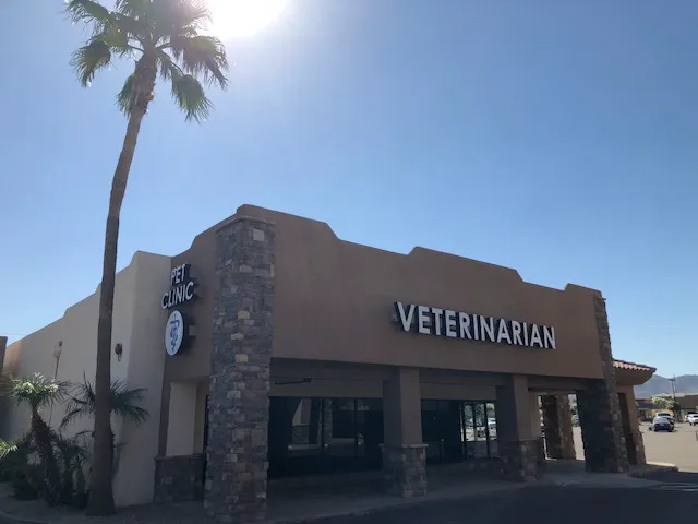 Companion Pet Clinic of North Phoenix Picture 4
