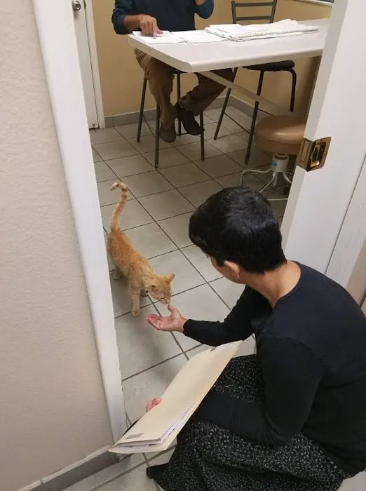 Sugarloaf Animal Clinic Picture 7