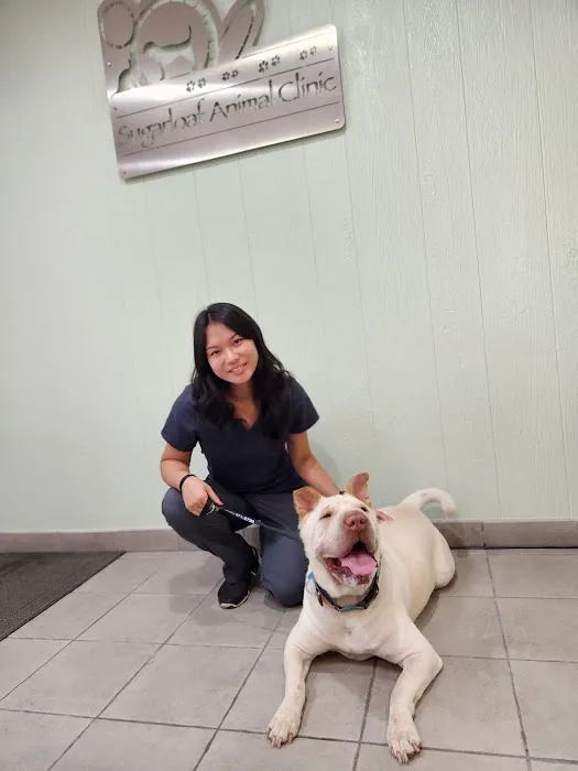 Sugarloaf Animal Clinic Picture 2