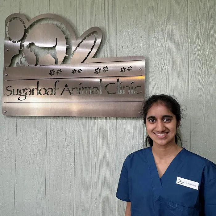 Sugarloaf Animal Clinic Picture 9