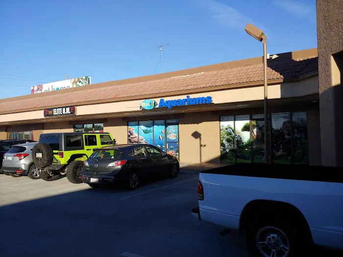 Kona Reef Az - Phoenix Picture 6