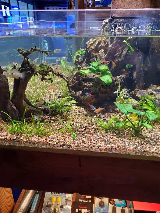 Kona Reef Az - Phoenix Picture 4