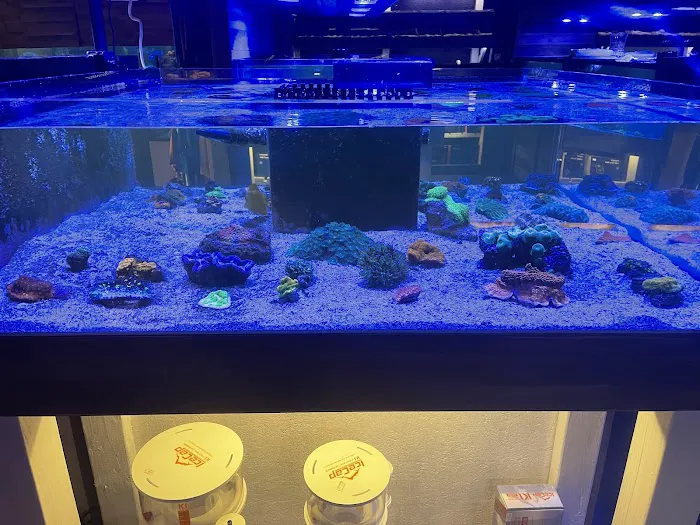 Kona Reef Az - Phoenix Picture 5