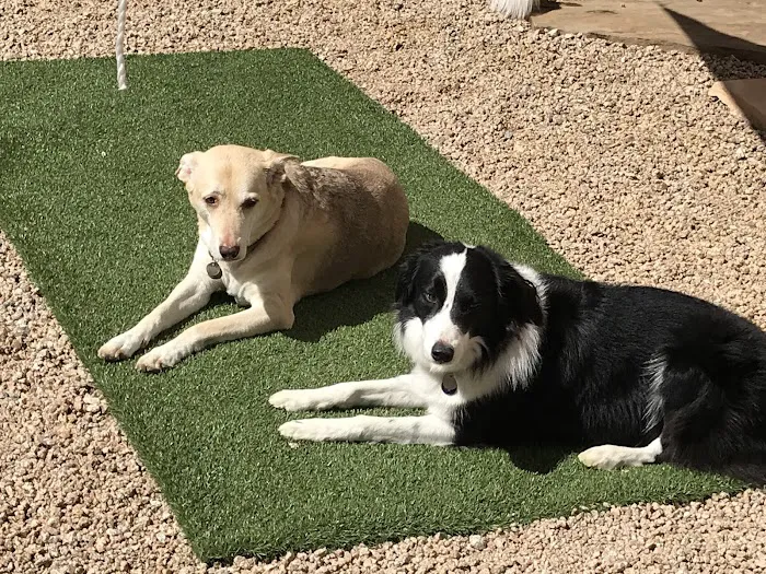 Four Legged Friends Animal Hospital Picture 3