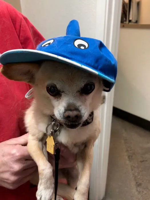 Four Legged Friends Animal Hospital Picture 9