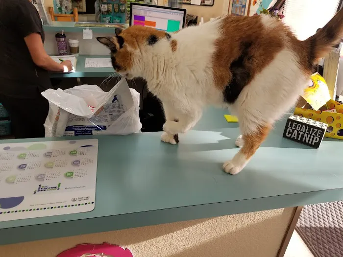 Amigo Animal Clinic Picture 9