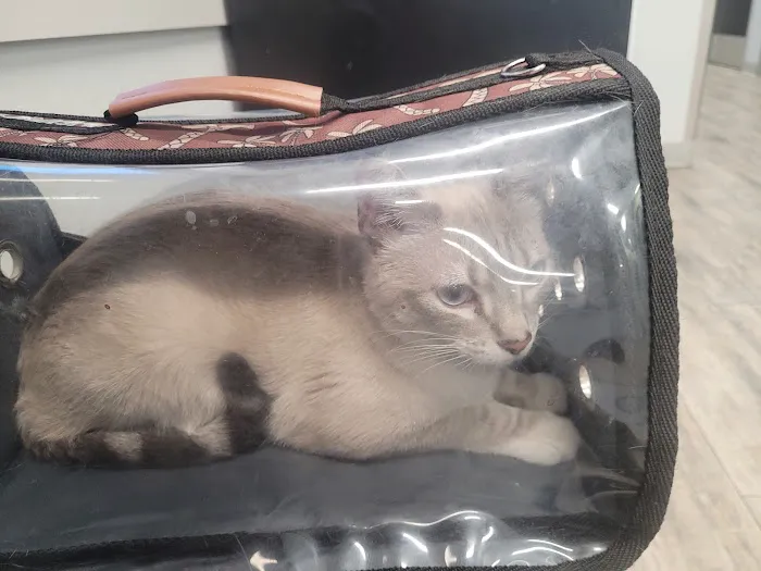 Phoenix Veterinary Referral & Emergency Center Picture 4