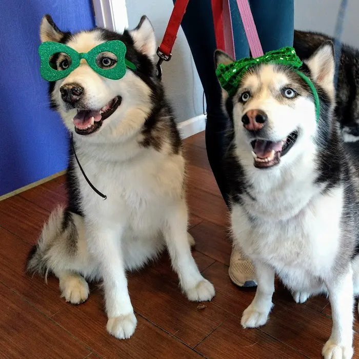 Indian Bend Animal Hospital Picture 9