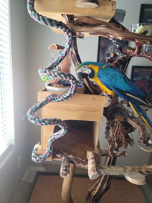 Tropic Zone Exotic Birds Picture 9