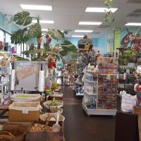 Tropic Zone Exotic Birds ico