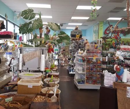 Tropic Zone Exotic Birds