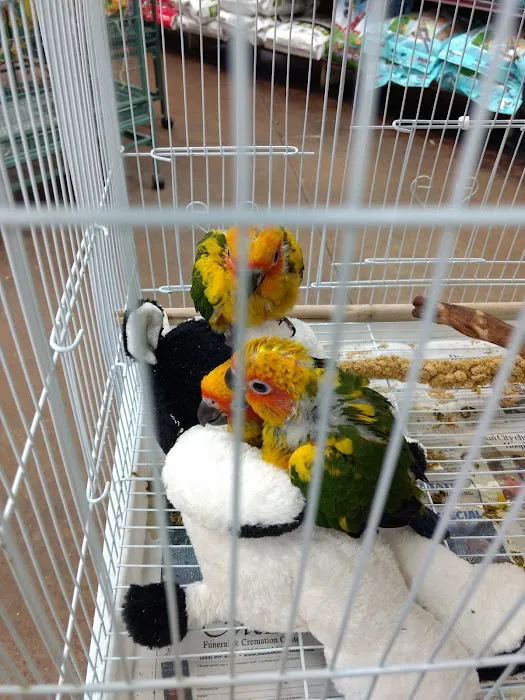 Tropic Zone Exotic Birds Picture 4
