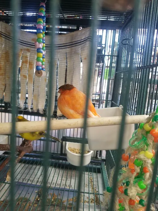 Tropic Zone Exotic Birds Picture 7