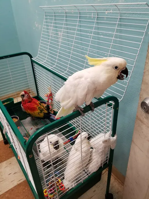 Tropic Zone Exotic Birds Picture 3