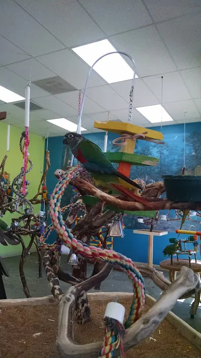 Tropic Zone Exotic Birds Picture 5