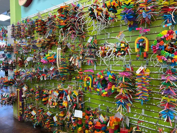 Tropic Zone Exotic Birds Picture 8