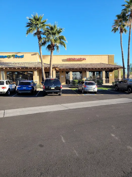 North Phoenix Animal Clinic Picture 8