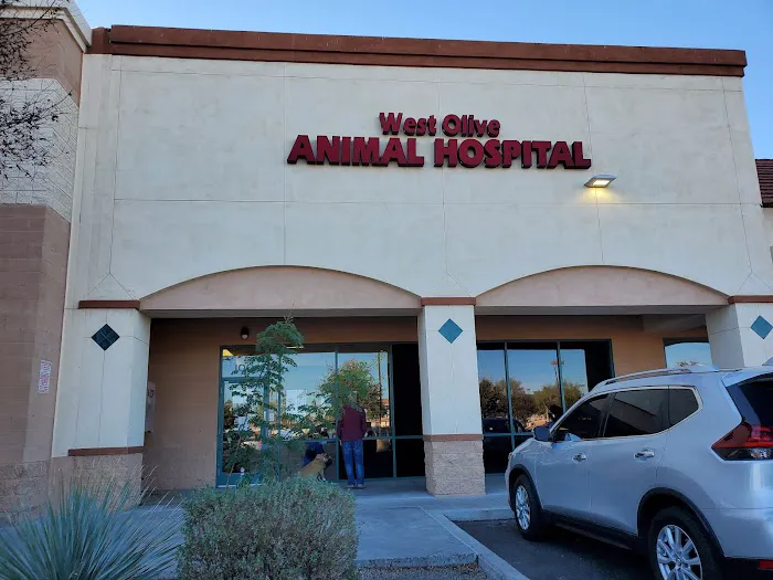 West Olive Animal Hospital Llc Picture 1