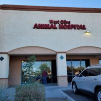 West Olive Animal Hospital Llc ico