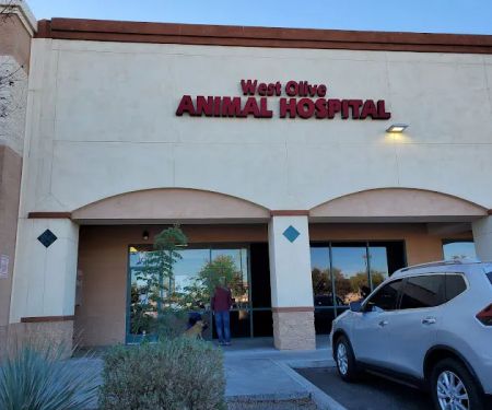 West Olive Animal Hospital Llc