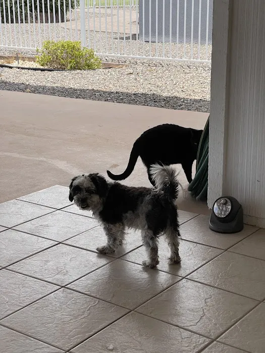 West Olive Animal Hospital Llc Picture 4