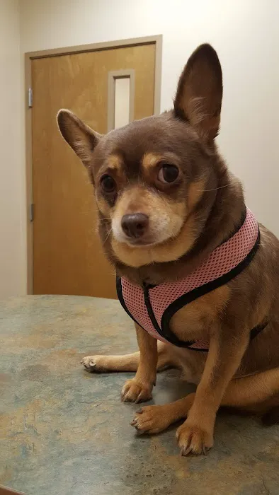 West Olive Animal Hospital Llc Picture 9