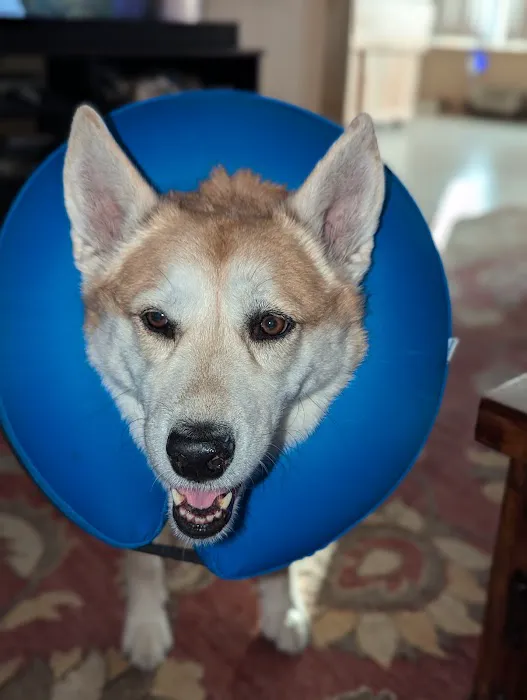 West Olive Animal Hospital Llc Picture 10