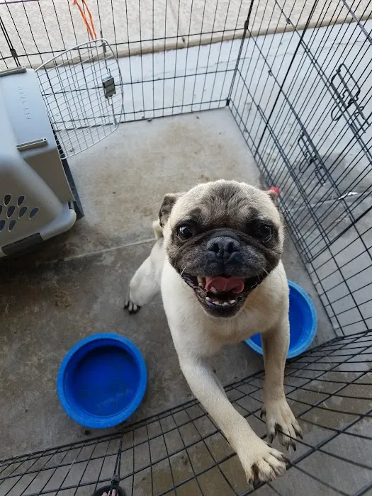 West Olive Animal Hospital Llc Picture 6