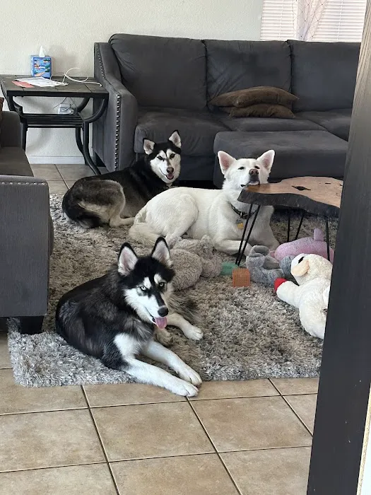 Sun City Animal Hospital Picture 8