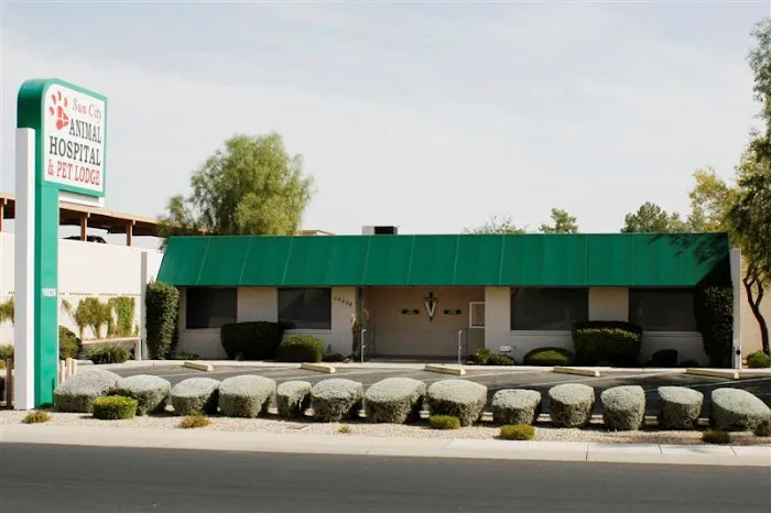 Sun City Animal Hospital Picture 5