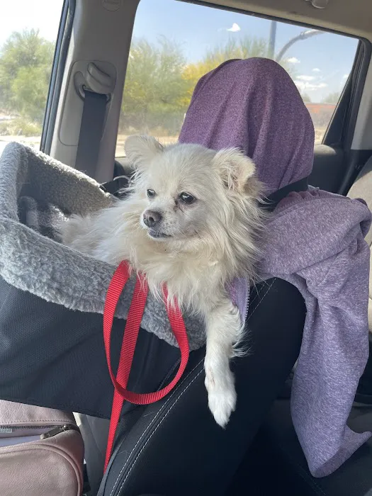 Sun City Animal Hospital Picture 10
