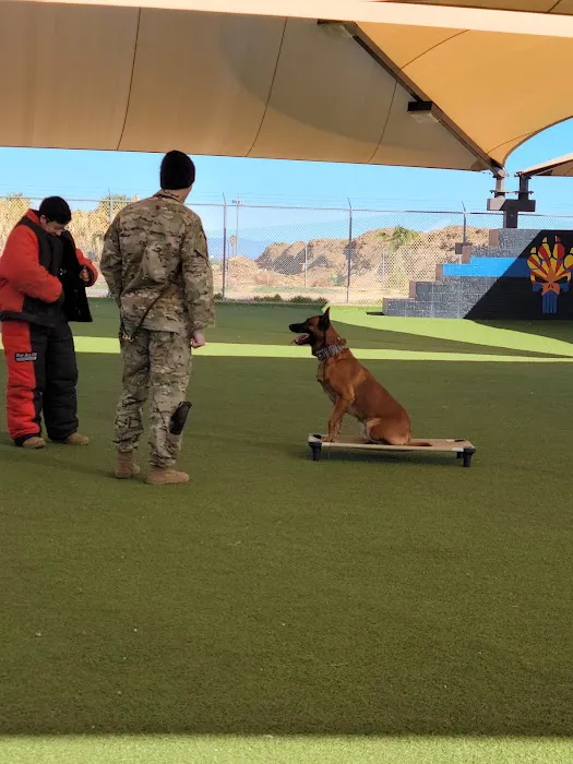 Luke Air Force Base Veterinary Service Picture 7