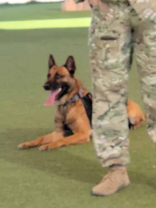 Luke Air Force Base Veterinary Service Picture 2