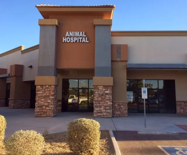 Desert Sky Animal Hospital Picture 2