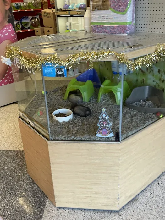 Petco Picture 10