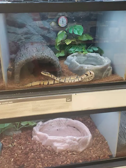 Petco Picture 5