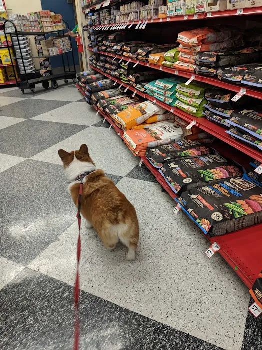 Petco Picture 8