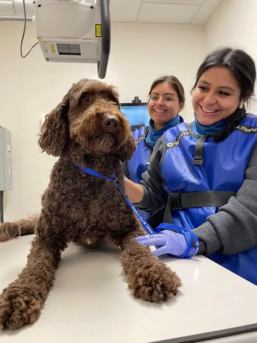 Veterinary Emergency Group Picture 1