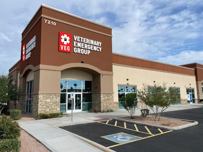 Veterinary Emergency Group Picture 4
